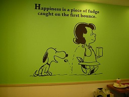 �C���X�g�ǎ�